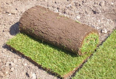 Gianni: Quale è il periodo migliore per la posa del prato in zolla?